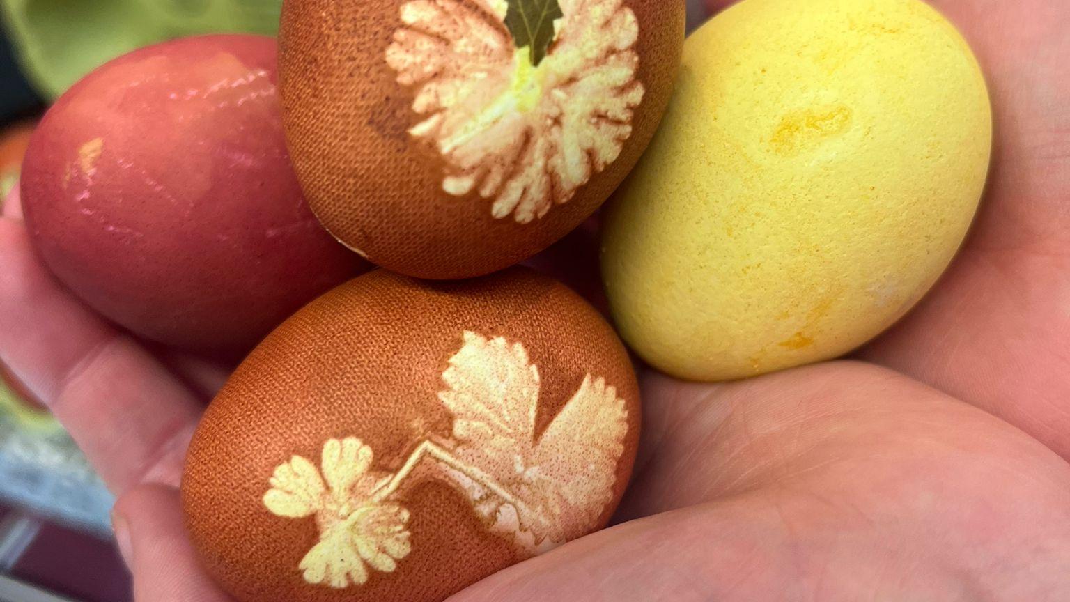 2020603 Eierfärben 1